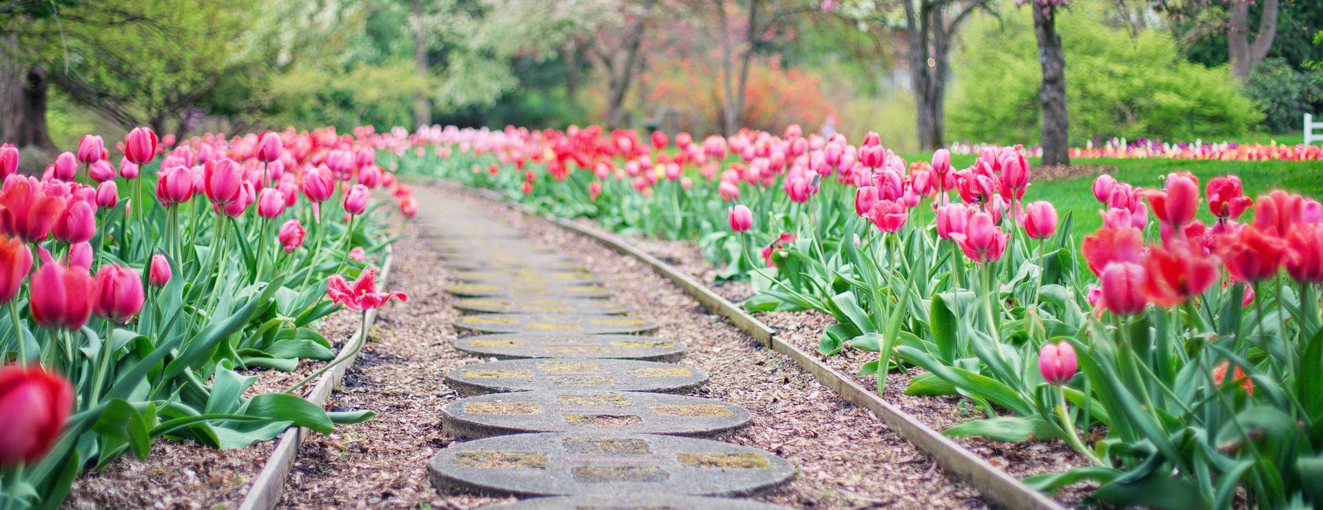 Tuinartikelen Winkel -Tuinartikelen Winkel pathway 2289978 1920